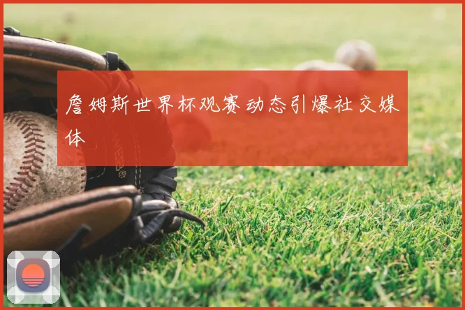 詹姆斯世界杯观赛动态引爆社交媒体